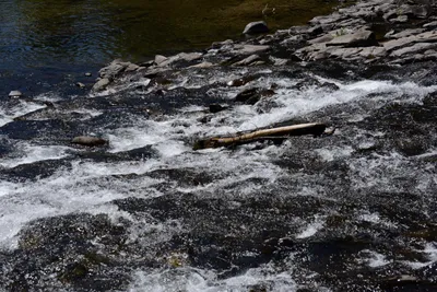 DSC_3639 (Large).JPG